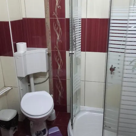 Pensiunea Denisa Konukevi 3*