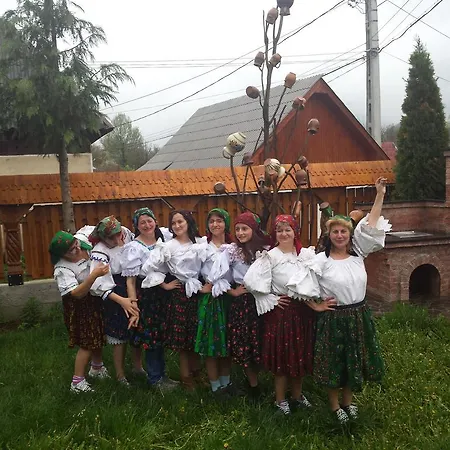 Pensiunea Denisa 3* Bîrsana