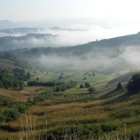 Pensiunea Denisa Bîrsana