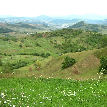 Pensiunea Denisa Bîrsana